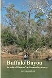 Buffalo Bayou: An echo of Houstons wilderness beginnings
