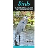 birds of southwest florida a guide to common  notable species quick reference guides