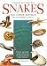 Books : Field Guide to the Snakes and Other Reptiles of Southern Africa