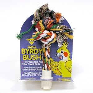 Booda Byrdy Bush Interactive Bird Toy, Colors Vary