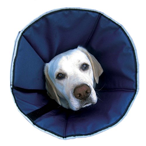 ZenPet ProCone Pet ECollar for Dogs and Cats Comfortable Soft
