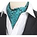 Stylefad Men's Mirofiber Cravat Ascot Self Tie