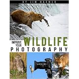 Improve Your Wildlife Photography (Improve Your Photography)