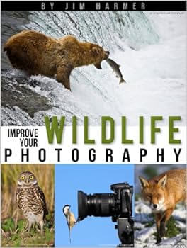 improve your wildlife photography (improve your photography) - jim harmer