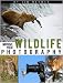 Improve Your Wildlife Photography (Improve Your Photography)