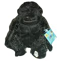 Webkinz Gorilla with Trading Cards