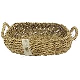 Paseo Cake Dome L GI-07