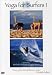Yoga for Surfers, Vol. 1