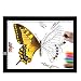 JIAN YA NA A3 Tracing Light Box Ultra-Thin Portable Light Pad LED Copy Board USB Power Cable Dimmable Brightness Artcraft Tracing Light Pad Light Box for Artists Drawing Sketching Animatio
