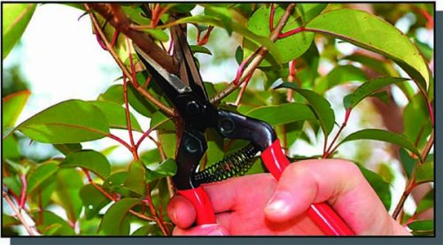 E-6C CHIKAMASA 本职园芸用 农作业铗 E-6C