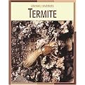 Termite (Animal Invaders) (Reinforced Hardcover)