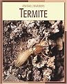Termite (Animal Invaders) (Reinforced Hardcover)