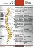 Die Dorn-Therapie - Beziehung: Wirbel - organische / psychische / seelische Beschwerden - Helmuth Koch