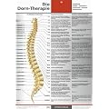 Die Dorn-Therapie. Beziehung: Wirbel - organische / psychische / seelische Beschwerden