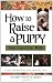 How to Raise a Puppy You Can Live With