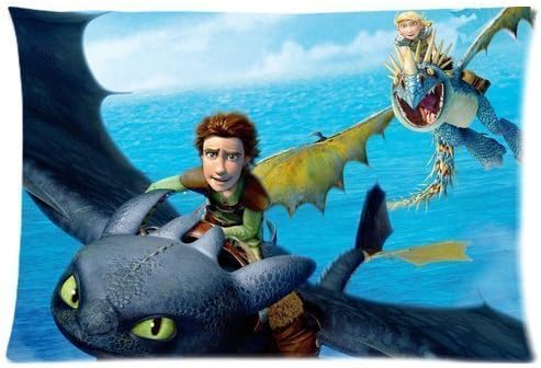 Vancl Custom Movie and TV Pillowcase Covers Pillow Case with Zipper How To Train Your Dragon 20x30 inches (Two sides)