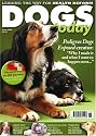 Dogs Today