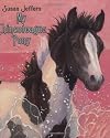 My Chincoteague Pony