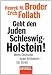 Bücher : Gebt den Juden Schleswig-Holstein!: Wenn Deutsche Israel kritisieren - ein Streit -