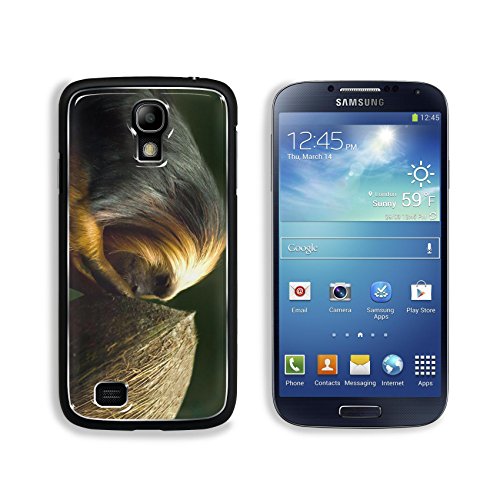 MSD Premium Samsung Galaxy S4 Aluminum Backplate Bumper Snap Case Golden Headed Lion Tamarin Image 2446307854