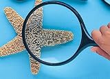 FRANK SCHAFFER PUBLICATIONS MAGNIFYING GLASS 4 DIAMETER