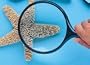 Magnifying Glass - 4" Diameter
