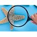 Magnifying Glass - 4" Diameter