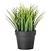 Ikea Artificial Potted Plant, Wheat Grass, 7.75 Inch