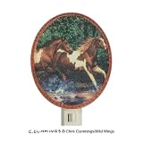 Spring Creek Run Night-Light by -