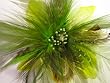 Lime Green Hair Feather Flower Hat Clip/ Brooch
