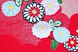 Wallmonkeys Peel and Stick Wall Decals - Kimono Design - Removable Graphic