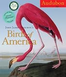 John James Audubon s Birds of America Calendar 2011