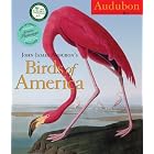 John James Audubon's Birds of America Calendar 2011 by Workman Publishing