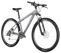 Diamondback Overdrive Comp 29'er Mountain Bike (29-Inch Wheels), Dark Silver, Small/16-Inch
