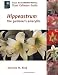 Hippeastrum: The Gardener's Amaryllis (Royal Horticultural Society Plant Collector Guide)