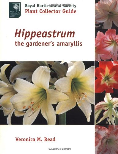 Hippeastrum: The Gardeners Amaryllis (Royal Horticultural Society Plant Collector Guide)