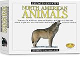 Skullduggery Inc. Eyewitness Kit North American Animals Casting Kit
