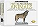 Skullduggery Eyewitness Kit North American Animals Casting Kit