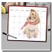 golden retriever - Puppy Jotz Dry Erase Calendar