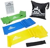 Black Mountain Products Therapy Exercise Bands with Resistance Band Carrying Case, Door Anchor and Starter Guide