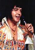 Elvis Presley '70S Jumpsuit New Art Poster Print - 16 X 20