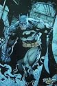 Batman Dark Night Collectible 24in x 36in Jim Lee Art Poster
