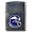 Minnesota Vikings