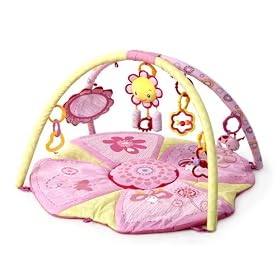 Bright Starts Pretty in Pink Play Gym