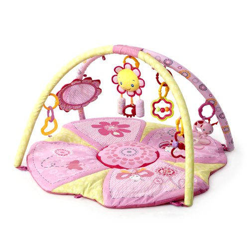 fisher price chairs Discount Bright Starts Pink Pretty in Pink Supreme Play Gym
