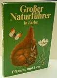 Produkt-Bild: CHRISTOPH NEEDON: Gro&szlig;er Naturf&uuml;hrer in Farbe Pflanzen und Tiere