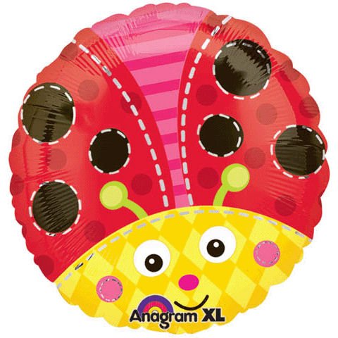 Cute Ladybug 18
