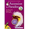 Ascension to Paradise: The Transcendent Power of the Bird Kingdom