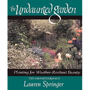 The Undaunted Garden: Planting for Weather-Resilient Beauty