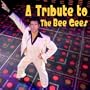 Tribute to the Bee Gees